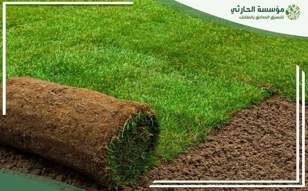 أفضل شركة تركيب عشب طبيعي بالطائف