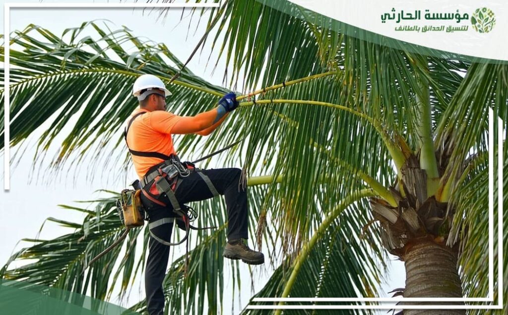 افضل شركة تكريب النخيل بالطائف