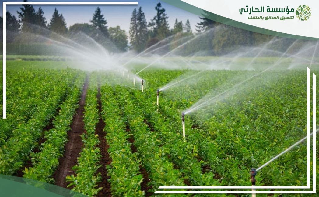 خدمات شركة تصميم شبكة ري بالطائف